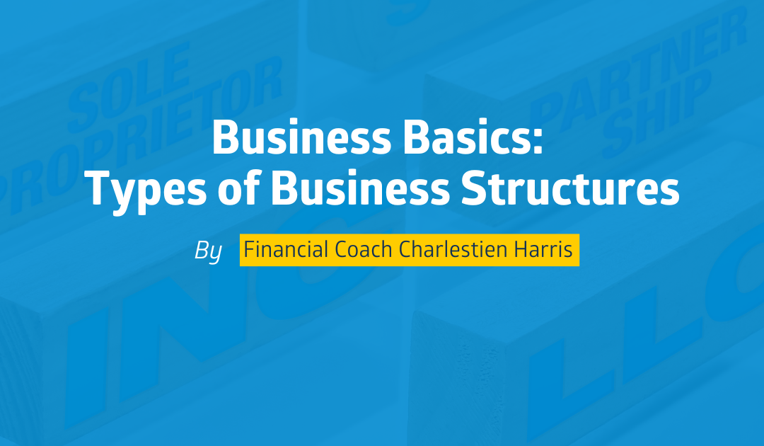 Business Basics: Types of Business Structures