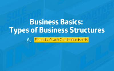 Business Basics: Types of Business Structures