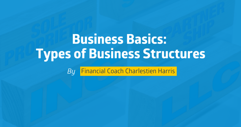 Business Basics: Types of Business Structures