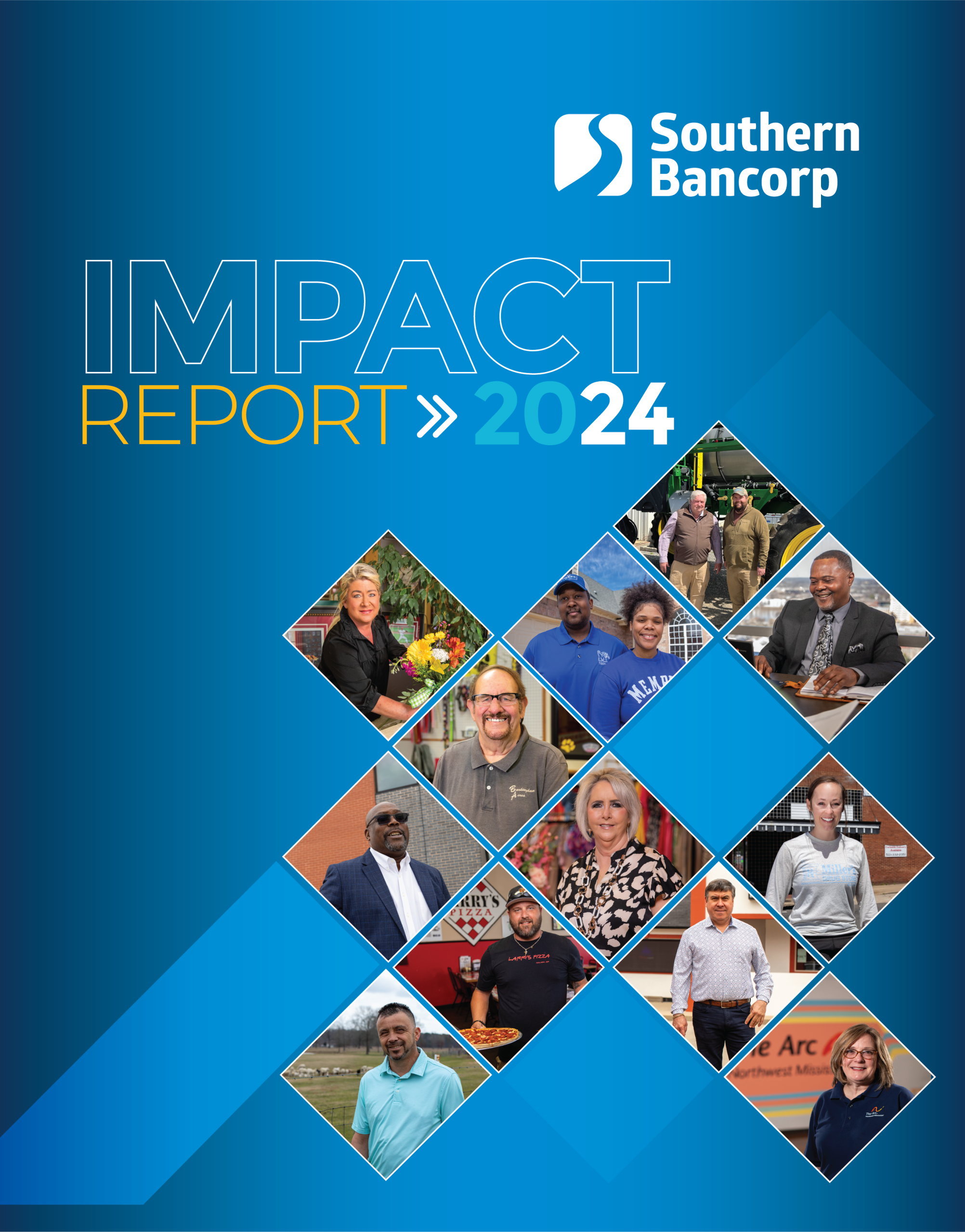 Portada del informe anual de 2015